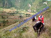 Mountain Climbing by Horse